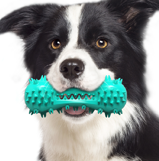 Dog Cleaning Chew Toys